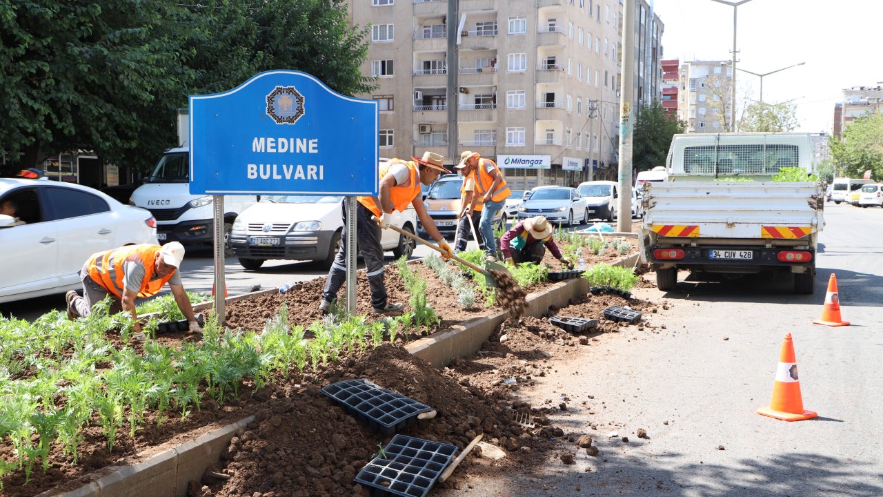 Diyarbakır Medine Bulvarı'na 10 bin 200 çiçek ekildi