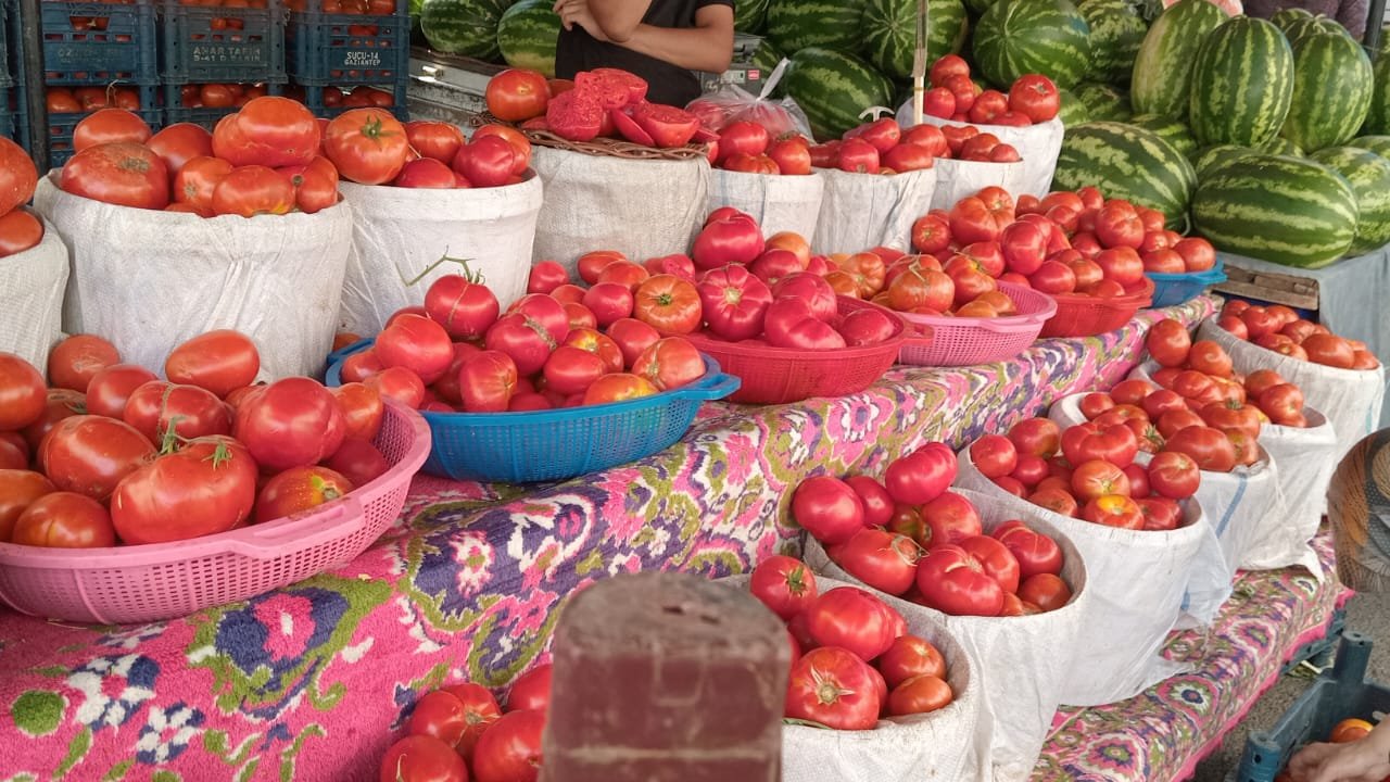 Diyarbakır’da sezon açıldı: Kurutmalık ve turşuluk fiyatları ne kadar?