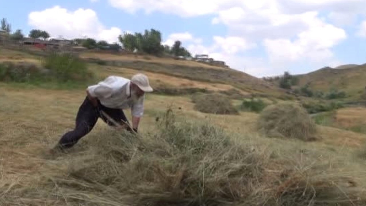 Besicilerin kışa hazırlıkları gece gündüz devam ediyor