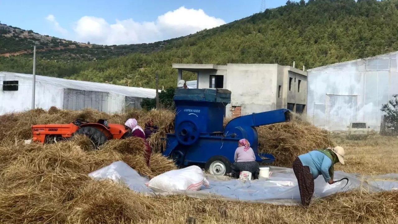 Otları patos yaparken elini kaptırdı: 2 parmağı koptu