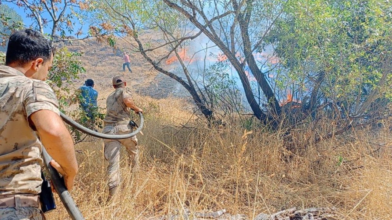 Dersim’deki yangında 11 hektar kül oldu