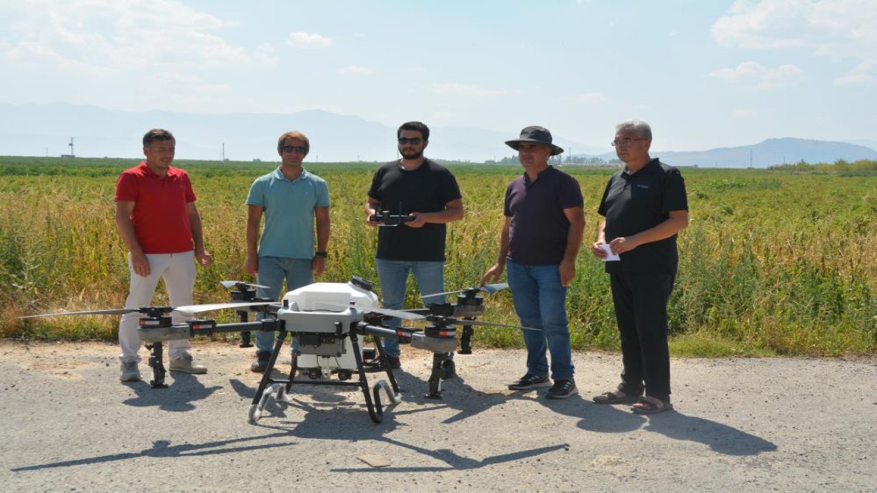 Bitlis'te çekirgeye operasyonu: Kaymakamlık dron aldı