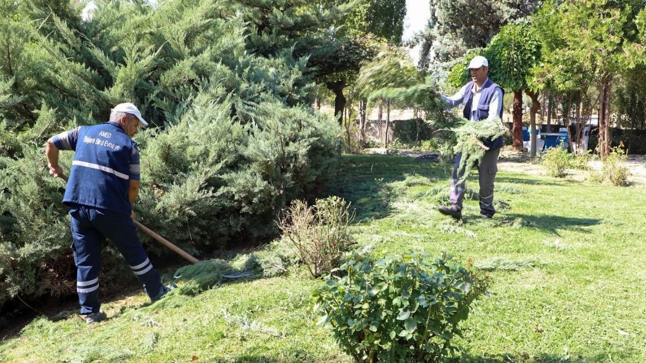 Diyarbakır Büyükşehir bitki alımına sınırlama getiriyor