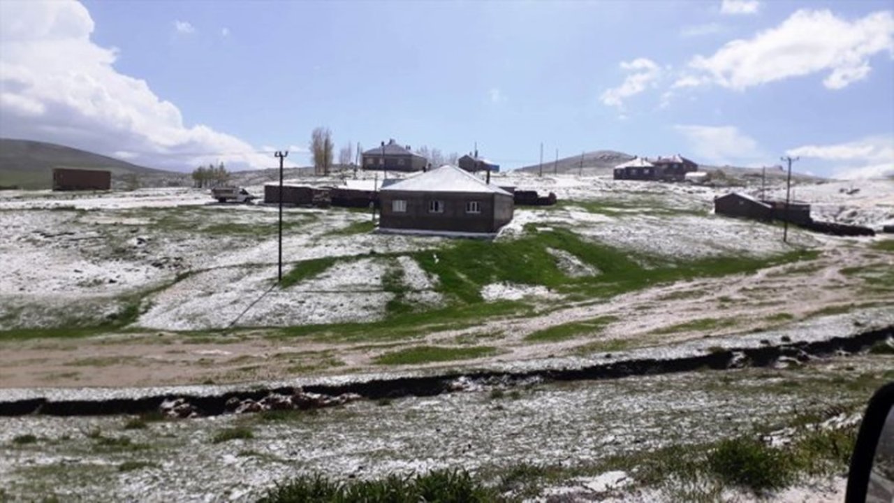 Aşırı yağış ve dolu tarım arazilerine zarar verdi