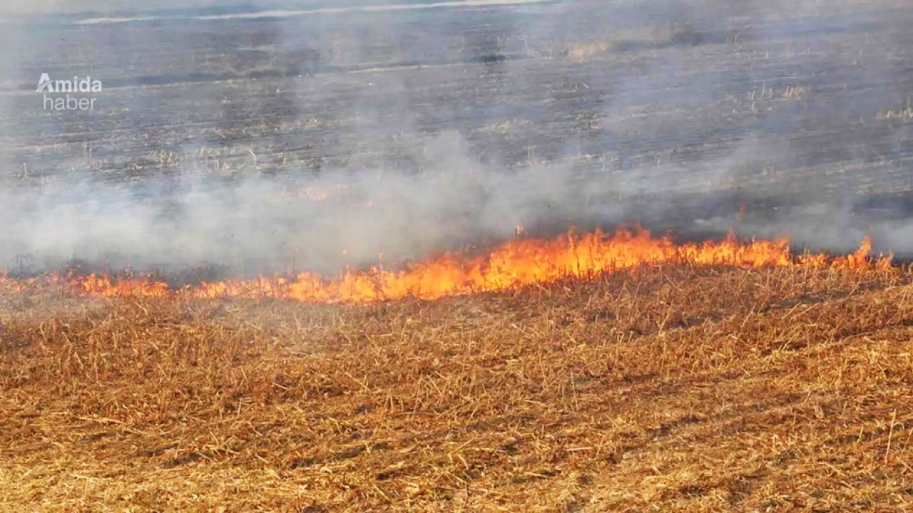 Yaz bitti Diyarbakır’da anız yangınları bir bitmedi!