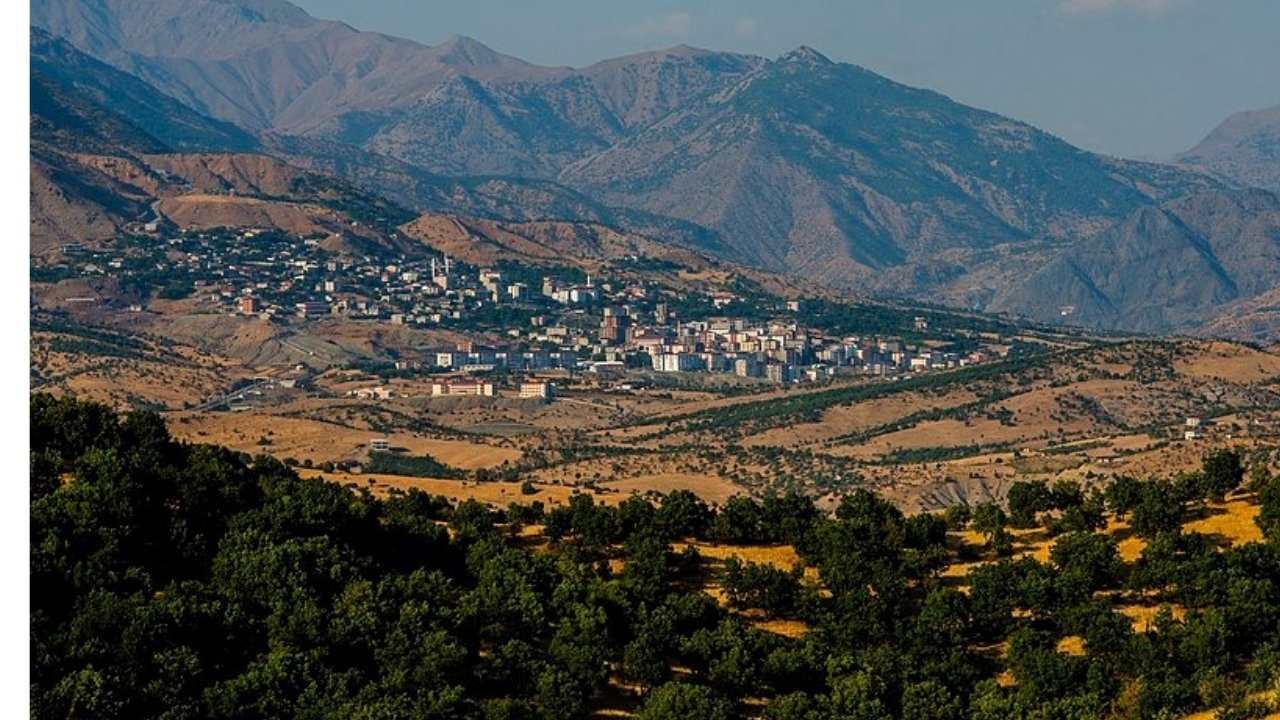 Diyarbakır Eş Başkanı isyan etti: Kovayla su taşıyacak halimiz yok