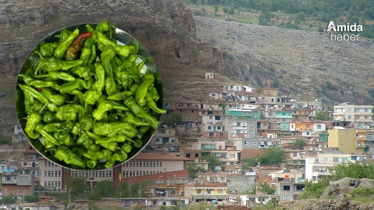 Diyarbakır’ın tescilli ‘acısı’: Kilosu 70 TL