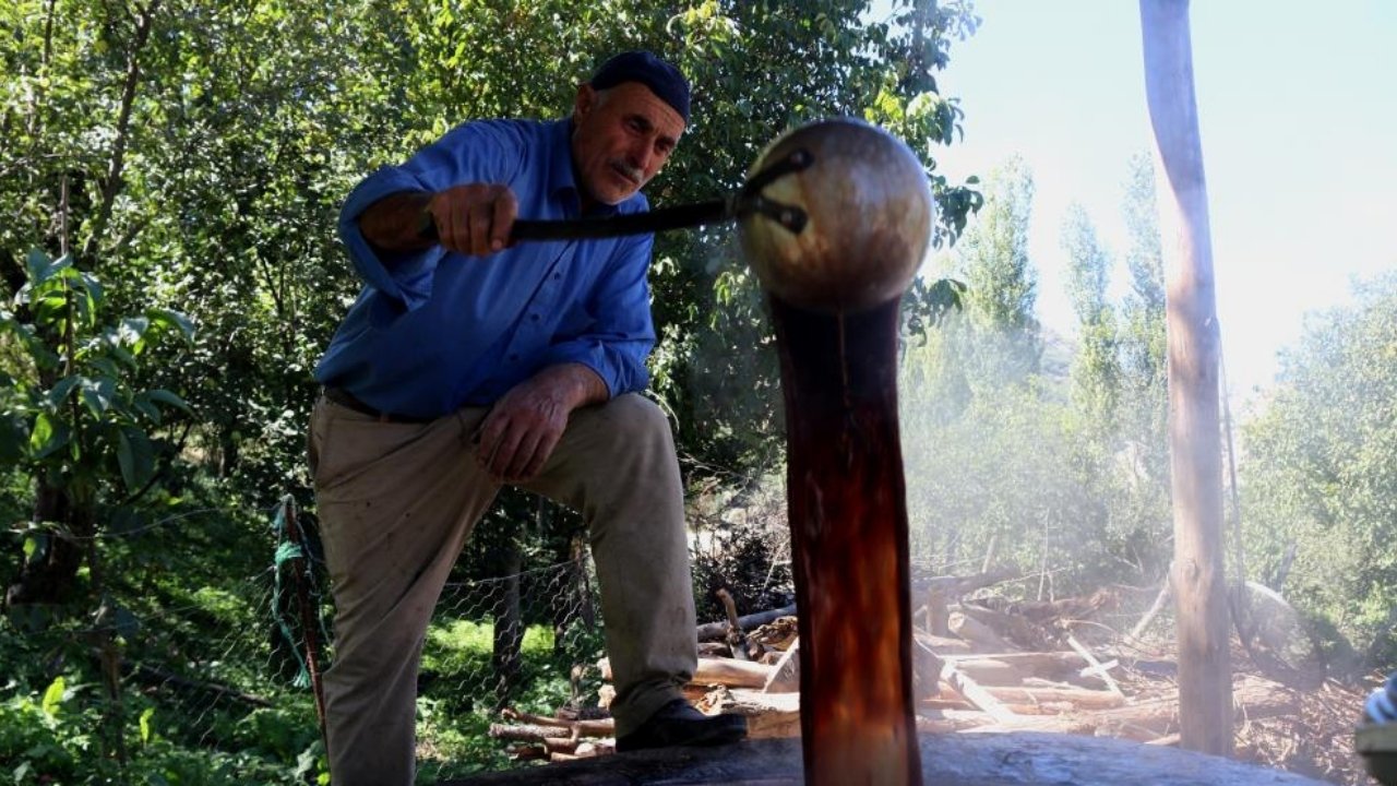 Bitlis’te üzümün zahmetli yolculuğu başladı