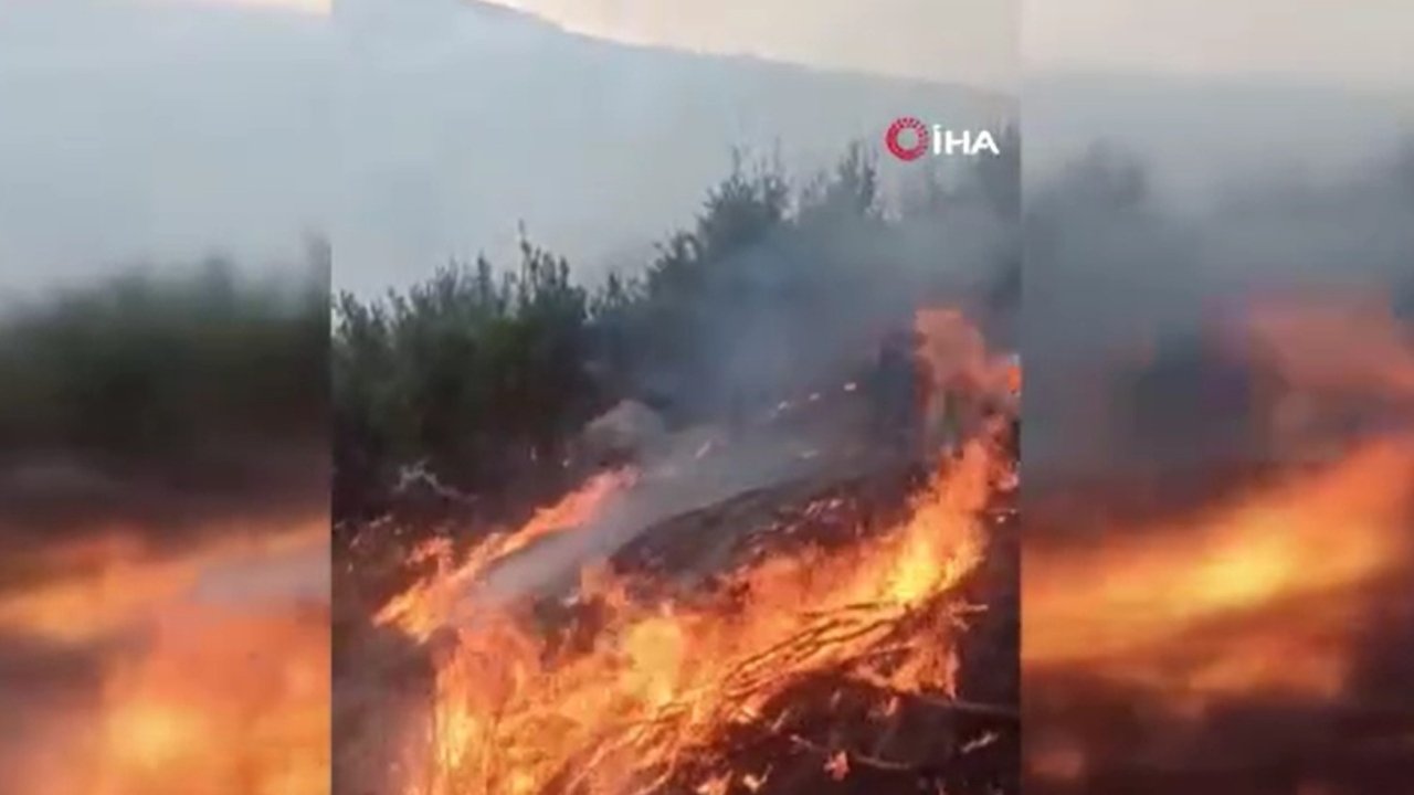 Bitlis’te çıkan orman yangını devam ediyor