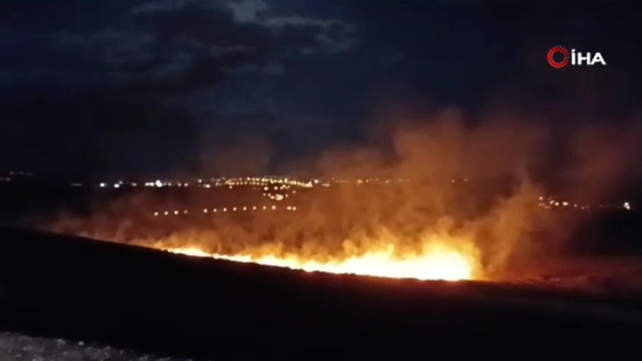 Siirt’te anız yangını çıktı