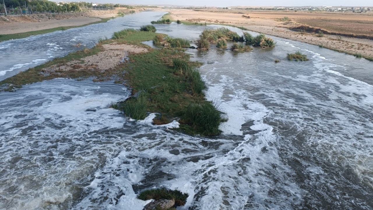 Dicle Nehri’ndeki beyaz köpüğün nedeni belli oldu!