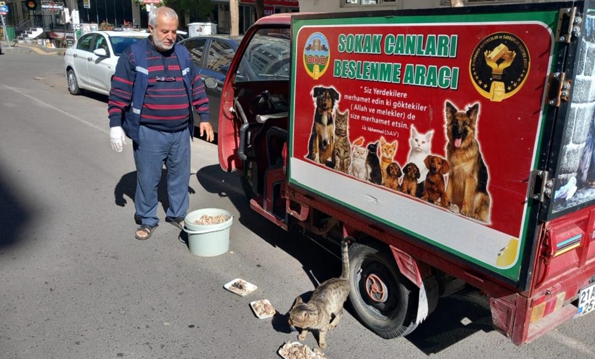 Diyarbakırlı hayvanseverden eğitim çağrısı