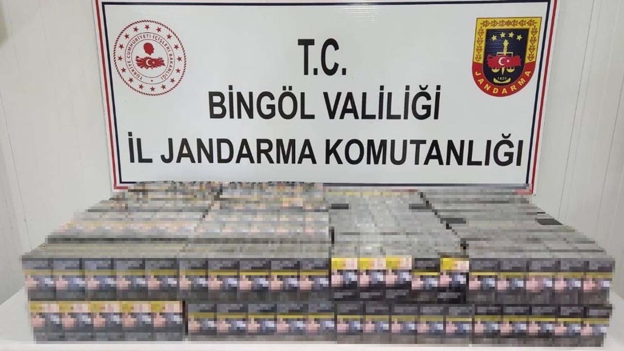 Bingöl'de kaçak kazı operasyonu: 2 şahıs yakalandı