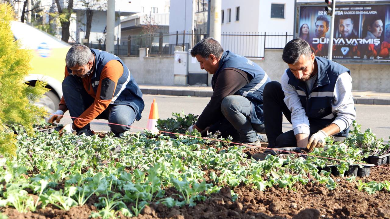 Diyarbakır’da yerli malı çiçeklerin dikimine başlandı