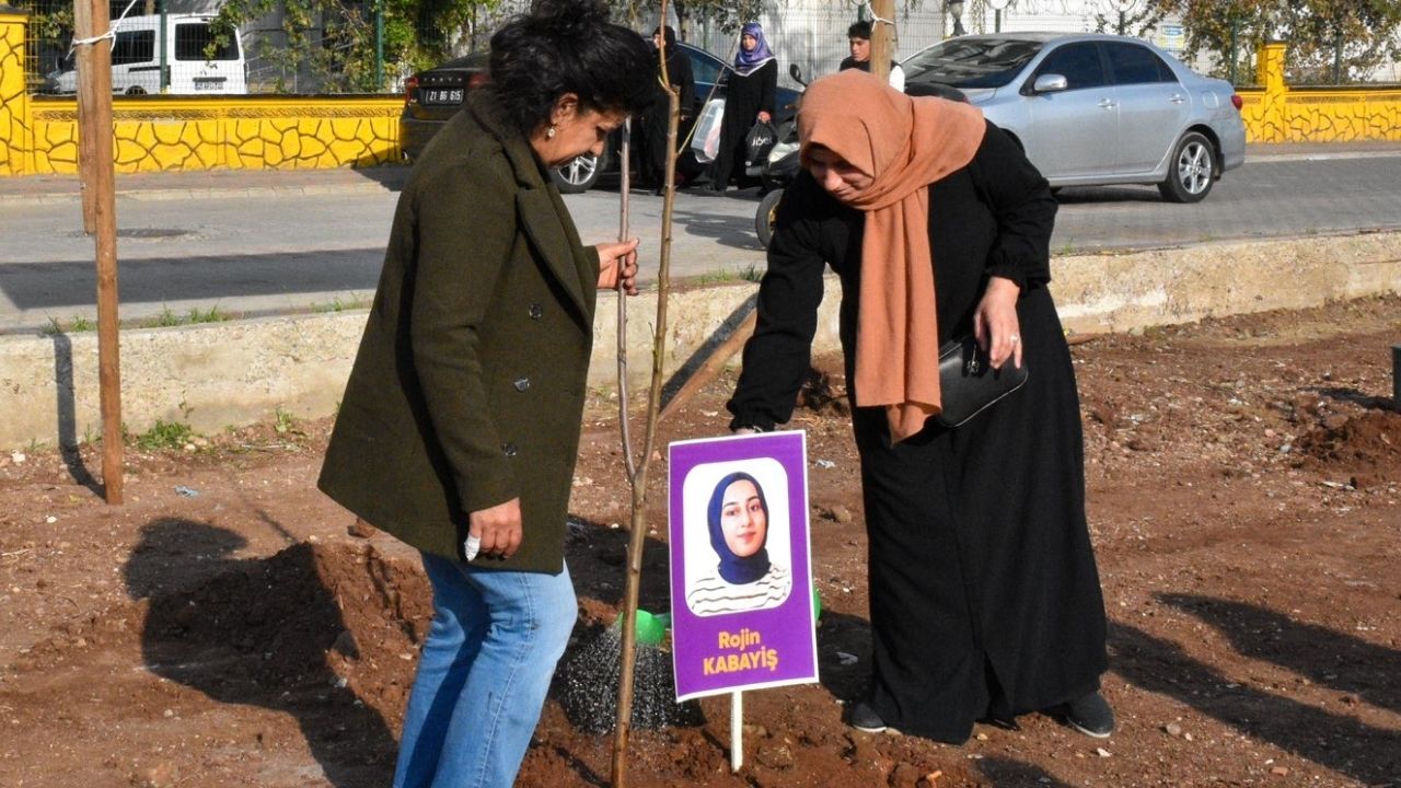 Van'da ölen Diyarbakırlı Rojin Kabaiş'in annesi: Kızım intihar etmedi