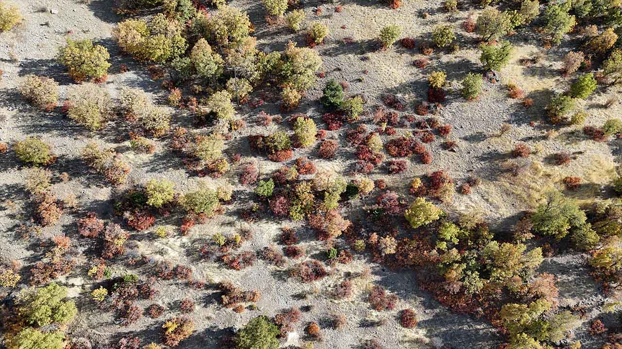 Nemrut Dağı eteklerinde sonbahar görüntüleri