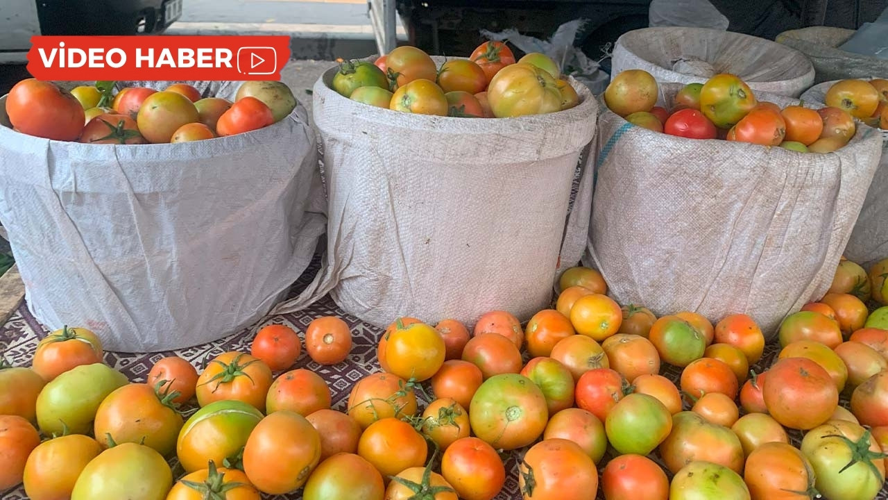 VİDEO- Diyarbakır’da pazarlar cep yakıyor: Domates 80 lira