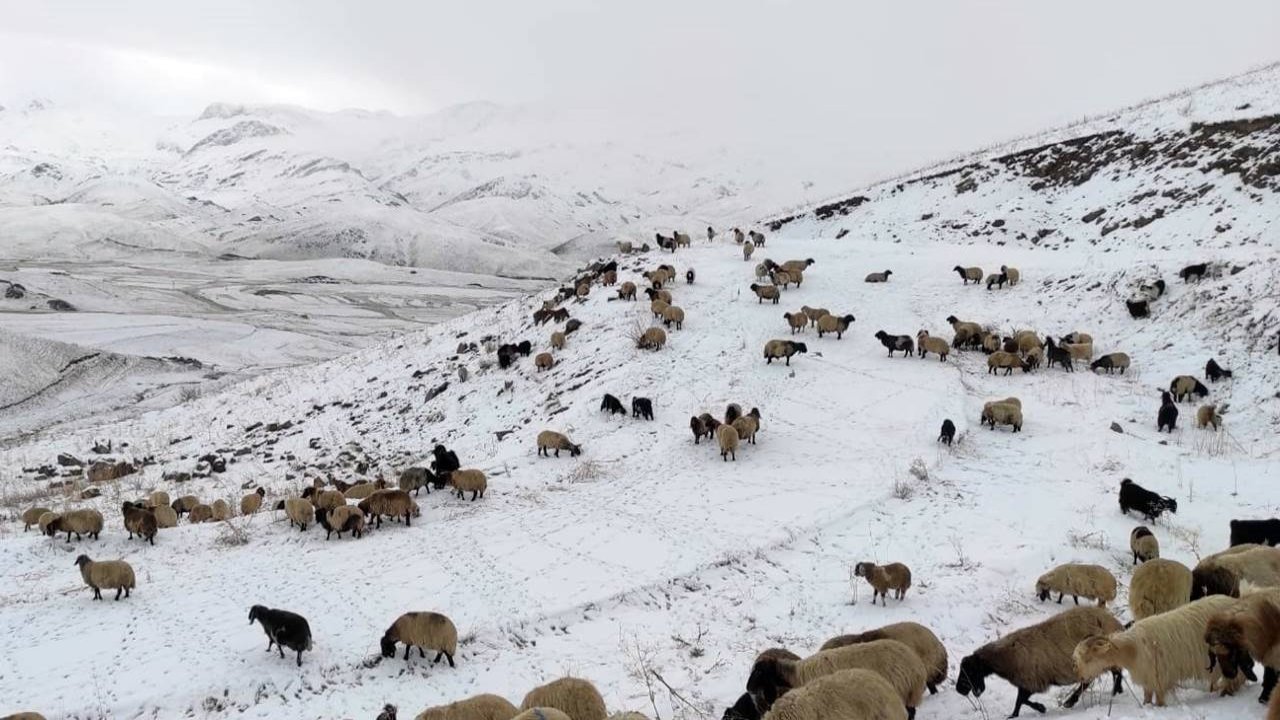 Faraşin kara büründü: Koçerler dönüş yolunda