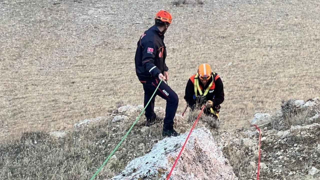 Muş’ta mahsur kalan keçilerin yardımına AFAD ekibi yetişti