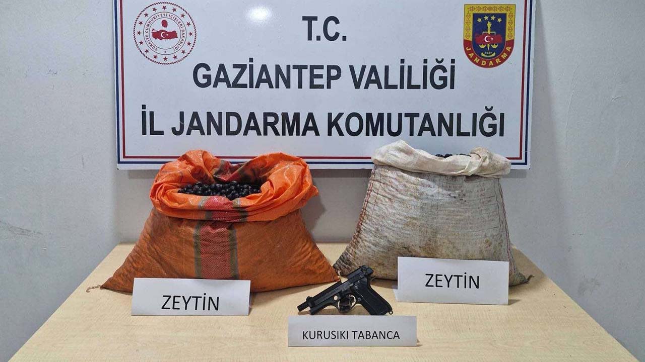 Gaziantep’te zeytin hırsızı suçüstü yakalandı