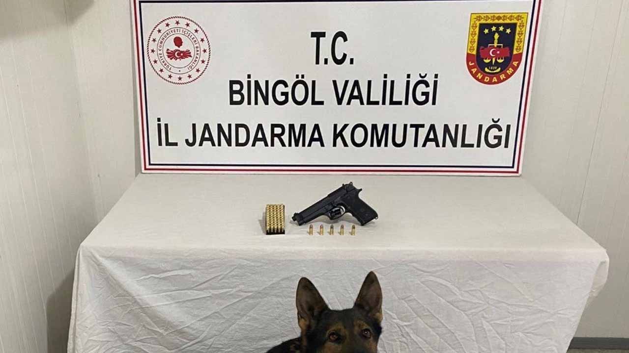 Bingöl’de uyuşturucu operasyonu: 1 kişi yakalandı