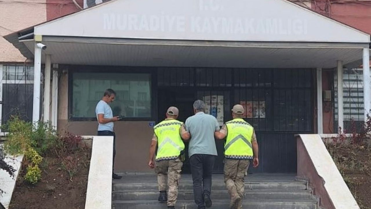 Van'da düzensiz göçmen operasyonu