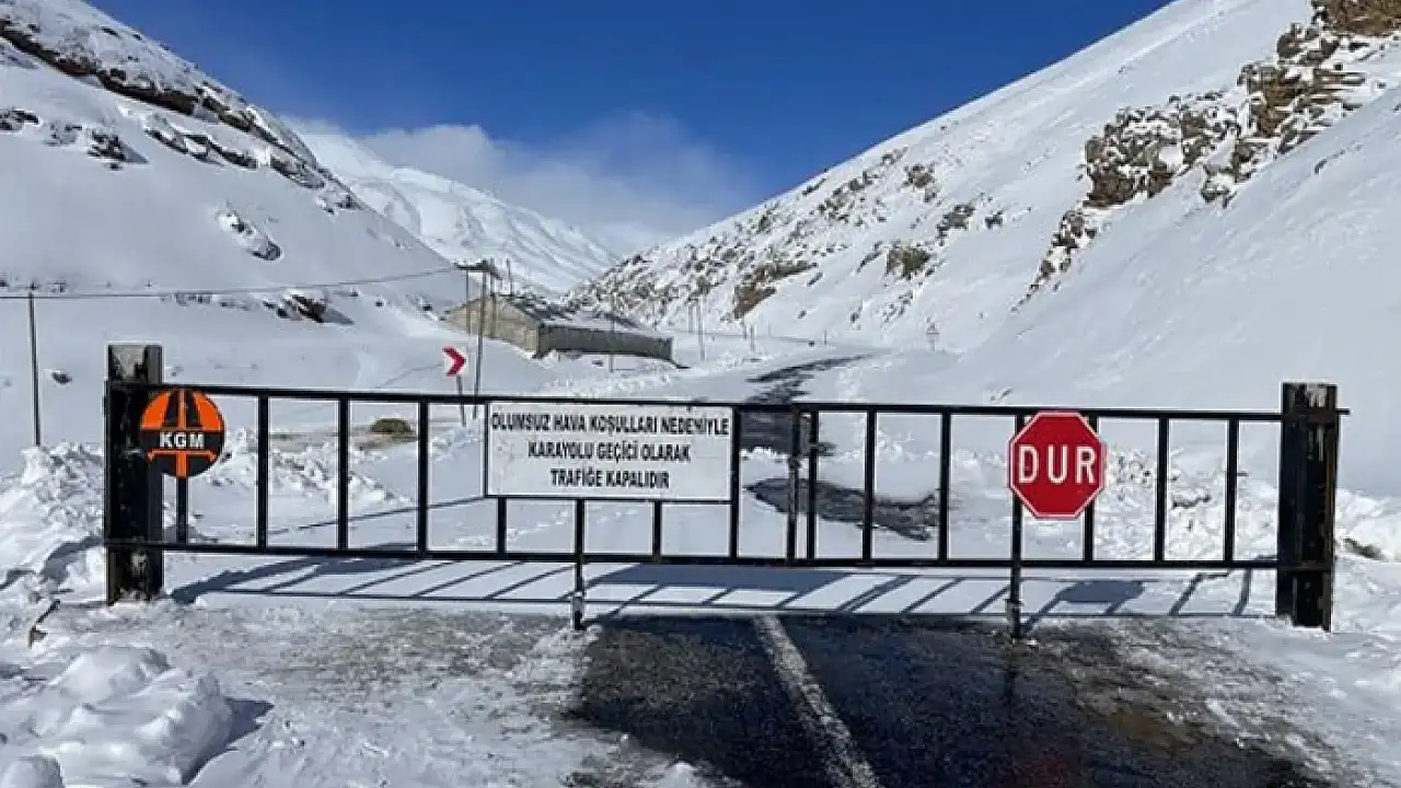 Van-Bahçesaray kara yolu kar ve tipi nedeniyle ulaşıma kapatıldı