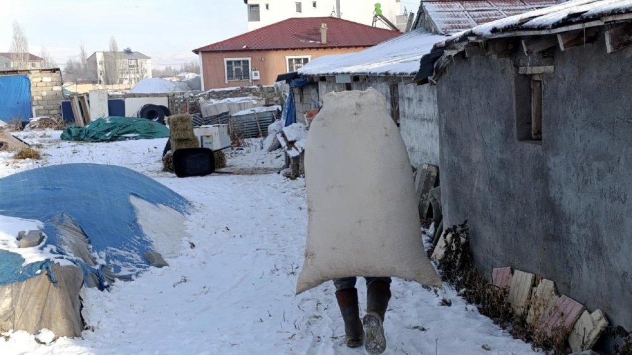 Ağrı sibirya soğuklarına teslim oldu