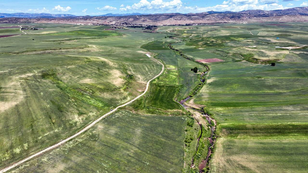 Diyarbakır’da ekolojik belediyecilik dönemi: 2025 hedefi açıklandı