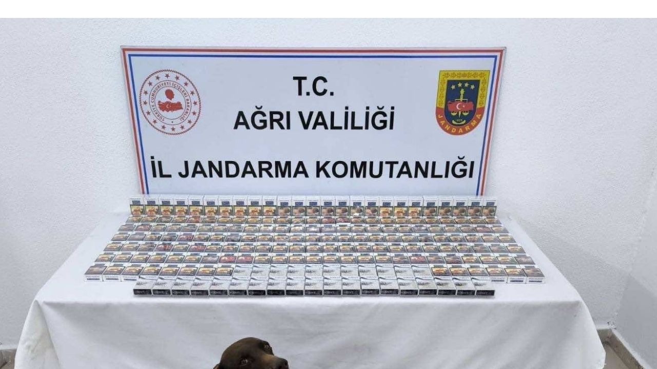 Ağrı'da  2 bin paket kaçak sigara ele geçirildi