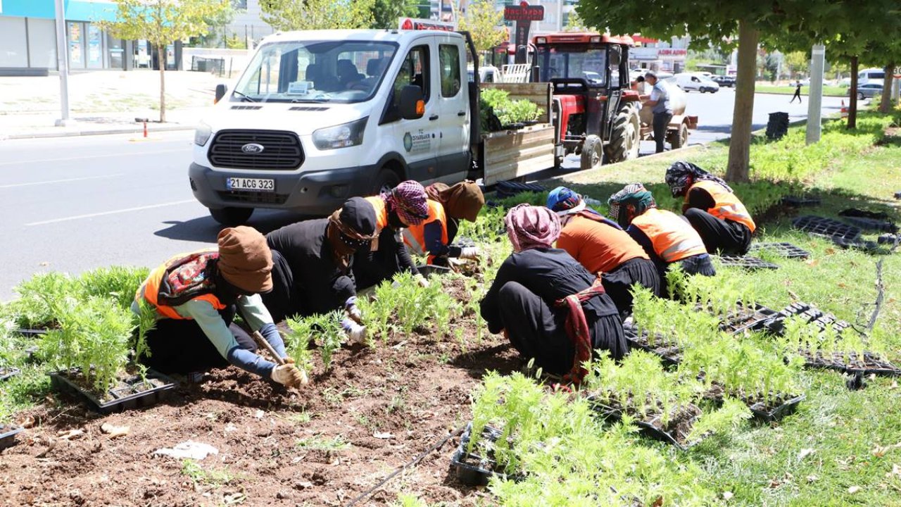 Diyarbakır’da 1 milyonun üzerinde çiçek ekildi