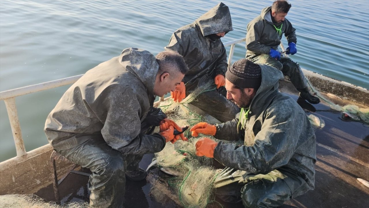 Van'ın Erçek Gölü'nde balık mesaisi