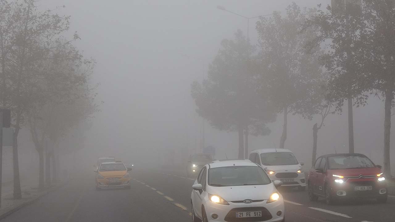 Diyarbakır'da kara ve hava ulaşımı sis engeline takıldı