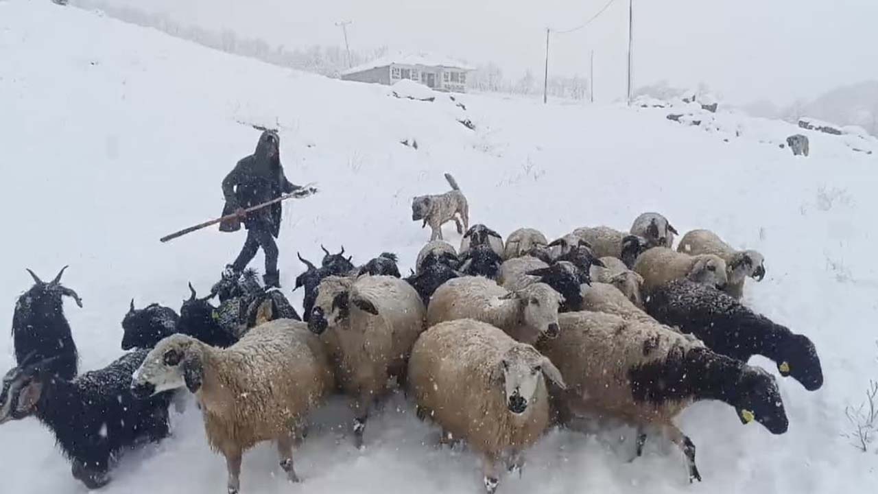 Muş'ta kar yağışı çiftçilerin yaşamını olumsuz etkiledi