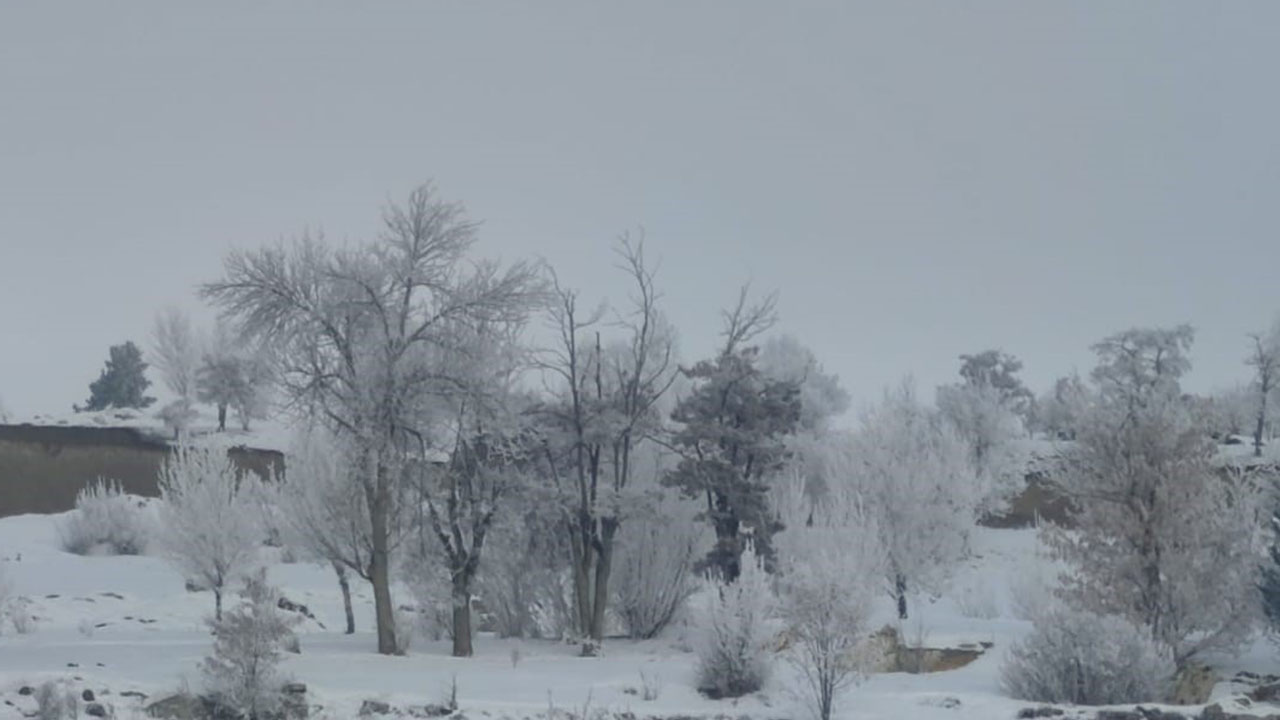 Erzurum -21 dereceği gördü