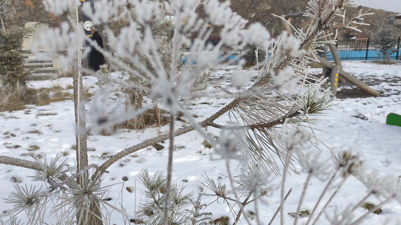 Ardahan’da Sibirya soğukları etkili oldu