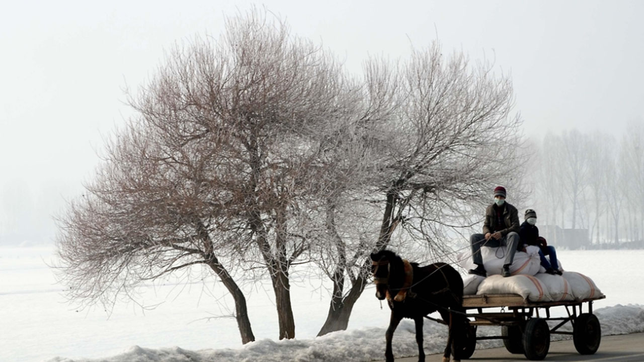 Bitlis'te soğuk hava etkili oldu