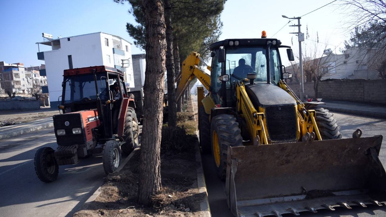 Diyarbakır'daki belediye ekolojik bakım çalışması başlattı