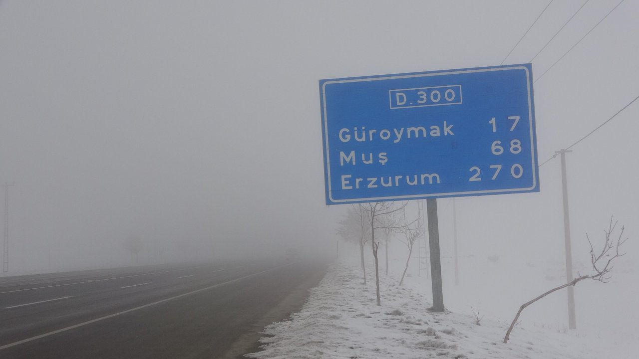 Bitlis’te yoğun sis