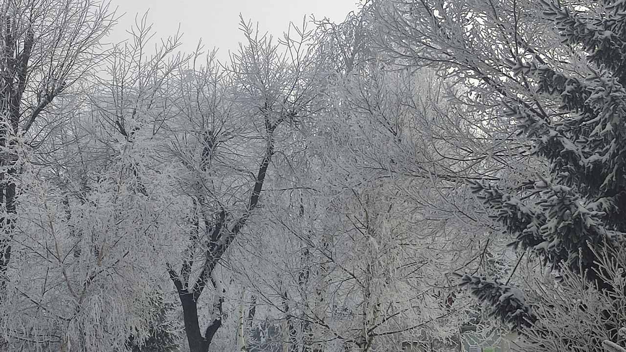 Ardahan'da Sibirya soğukları etkili oldu: Eksi 19