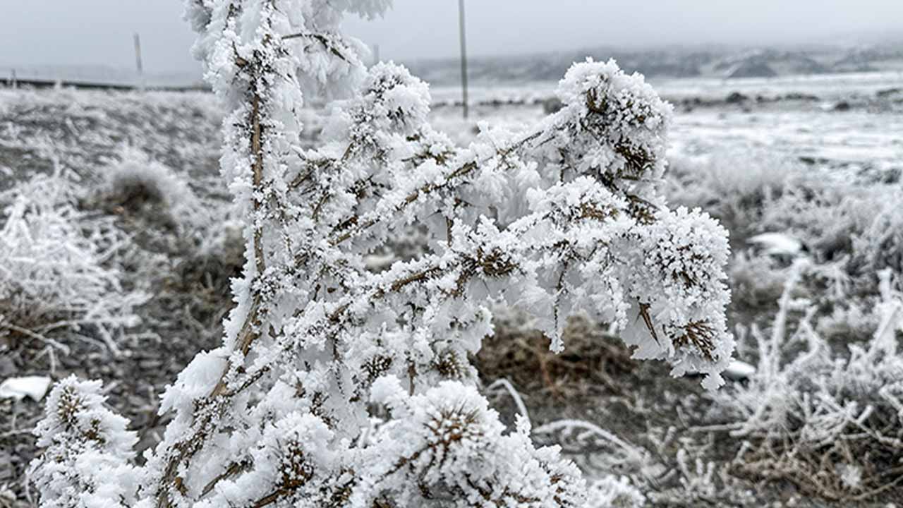 Ağrı'da dondurucu soğuk etkili oldu