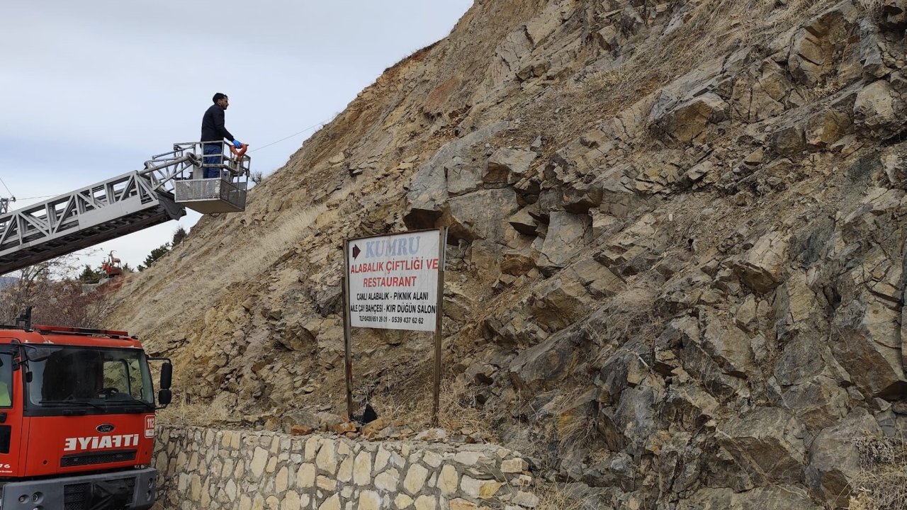 Tunceli'de İtfaiye ekipleri mahsur kalan köpek için seferber oldu