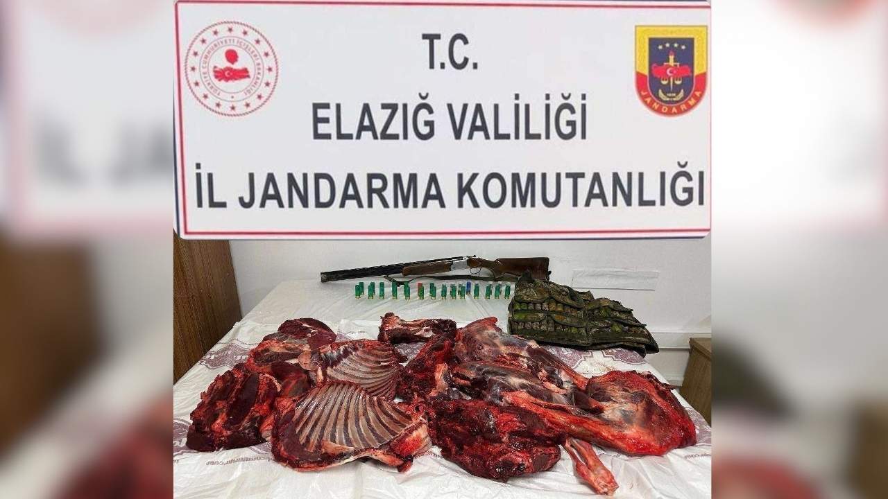 Elazığ’da dağ keçisini avlayan kişiye 650 bin lira ceza kesildi