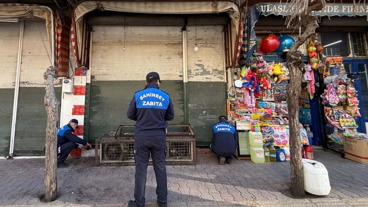 Gaziantep'te bozuk et ve et ürünleri satan iki iş yerine kapatma cezası