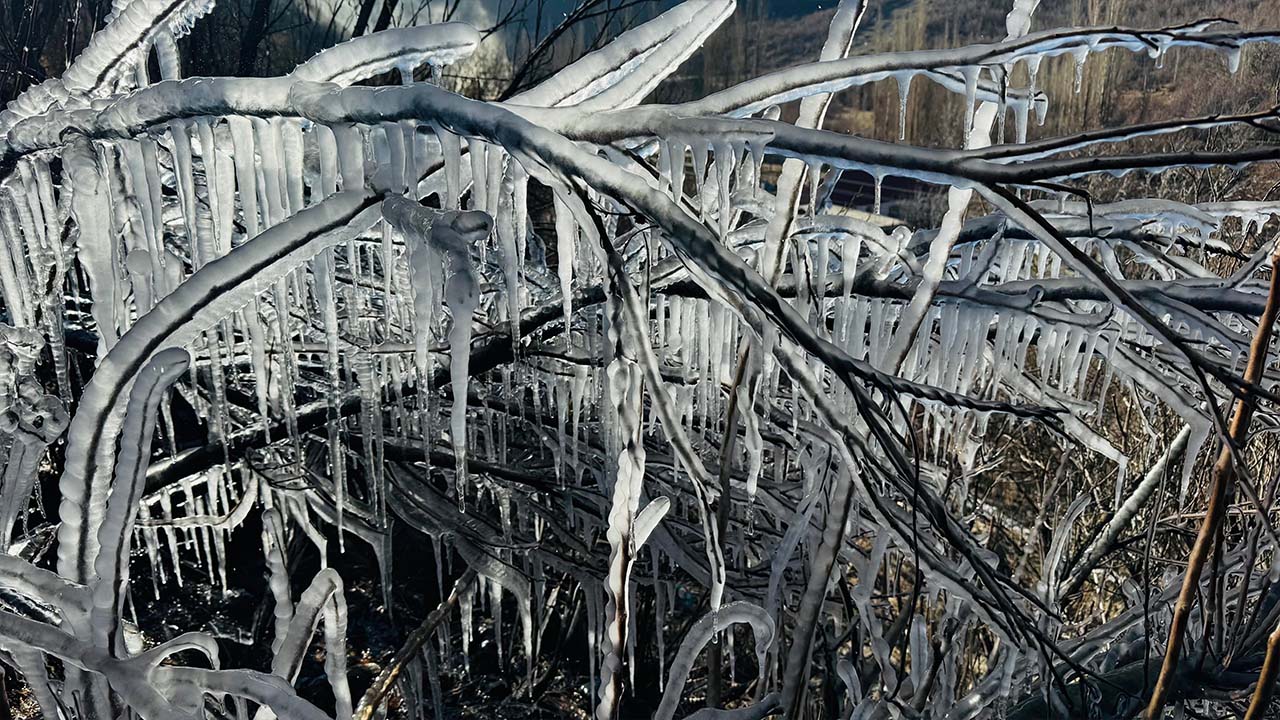 Şırnak'ta dondurucu soğuk etkili oldu