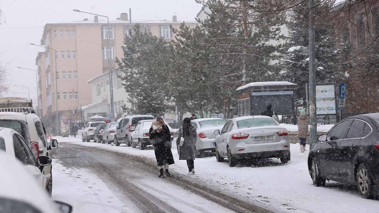 Ardahan'da kar yağışı etkili oldu