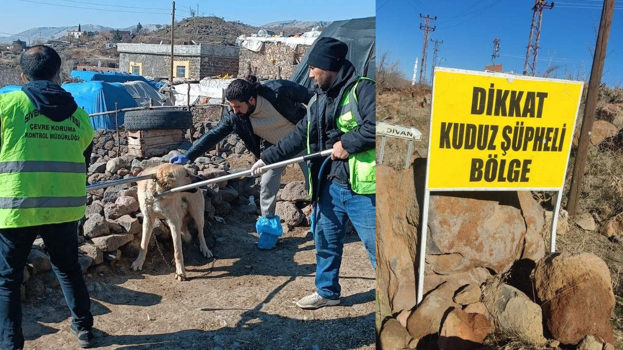 Diyarbakır’ın komşu ilçesinde kuduz alarmı: Köy karantinaya alındı