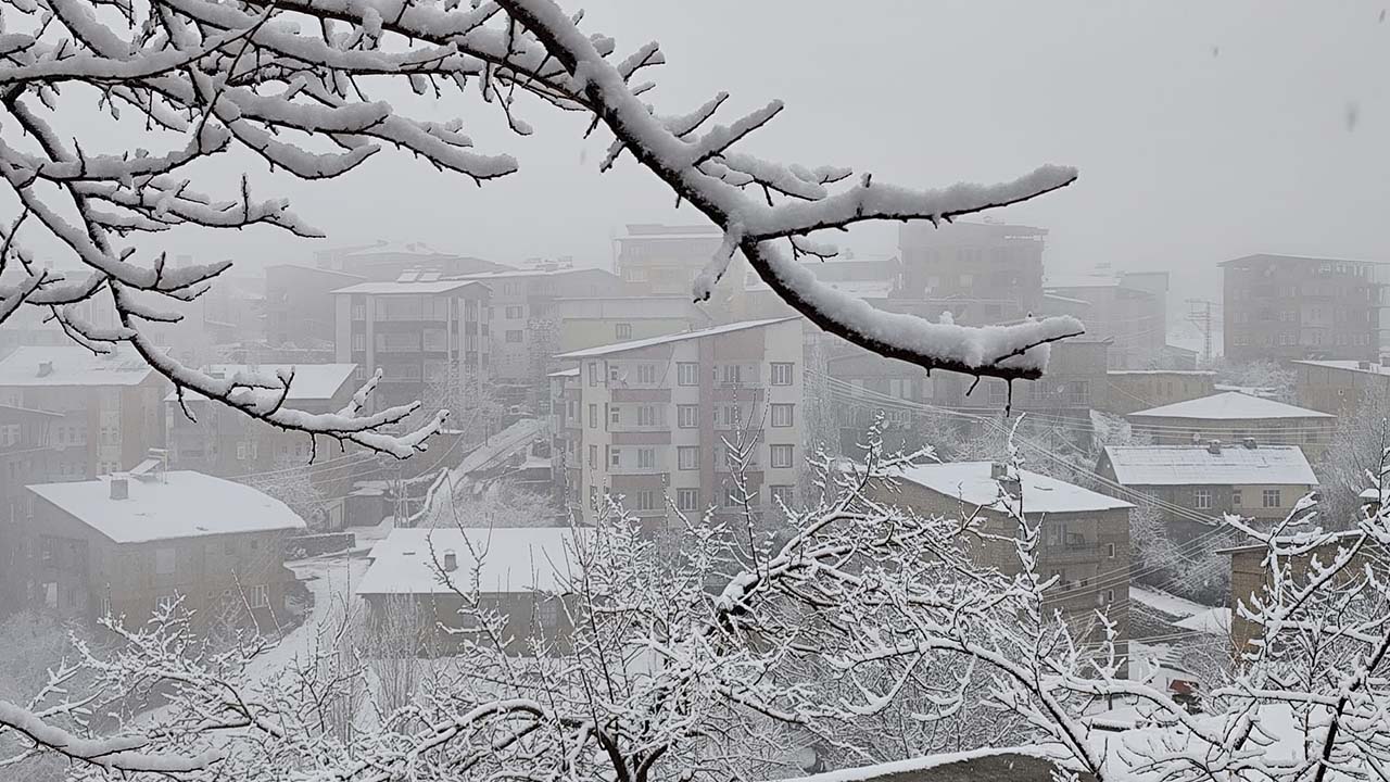 Hakkari’de kar ve sis etkili oldu