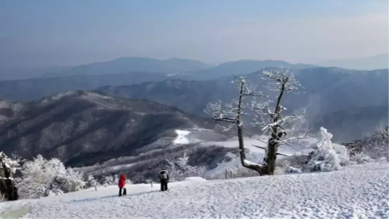 Iğdır'da yarın okullar tatil edildi