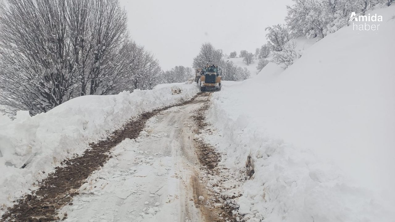 Diyarbakır merkezde dondurucu soğuk, ilçelerde ise metrelerce kar!